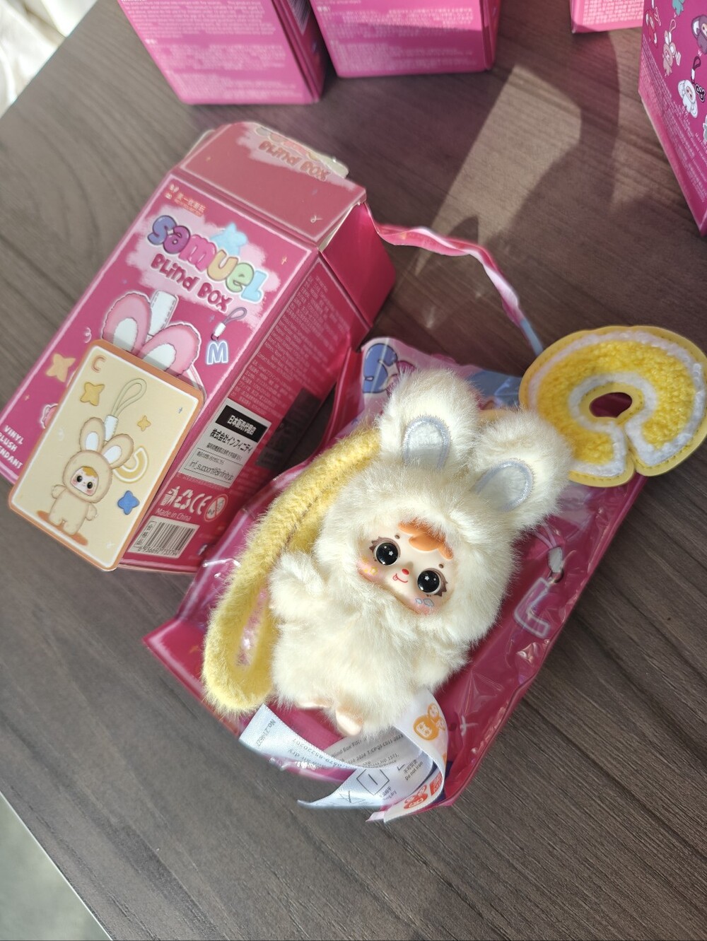 Samuel Blind Box Plush Collectible Set